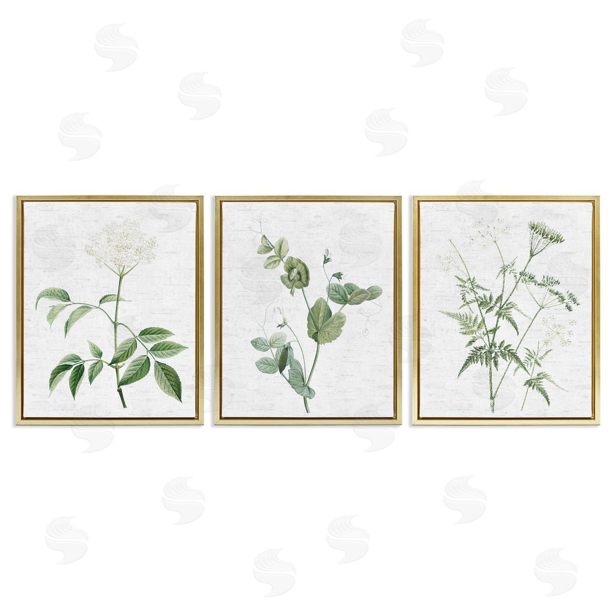Soft White Botanicals Gold Floating Frame Canvas Wall Art, Home Decor by Lettered and Lined