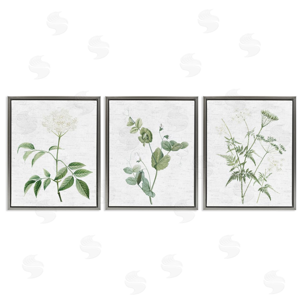 Soft White Botanicals Grey Floating Frame Canvas Wall Art, Home Decor by Lettered and Lined