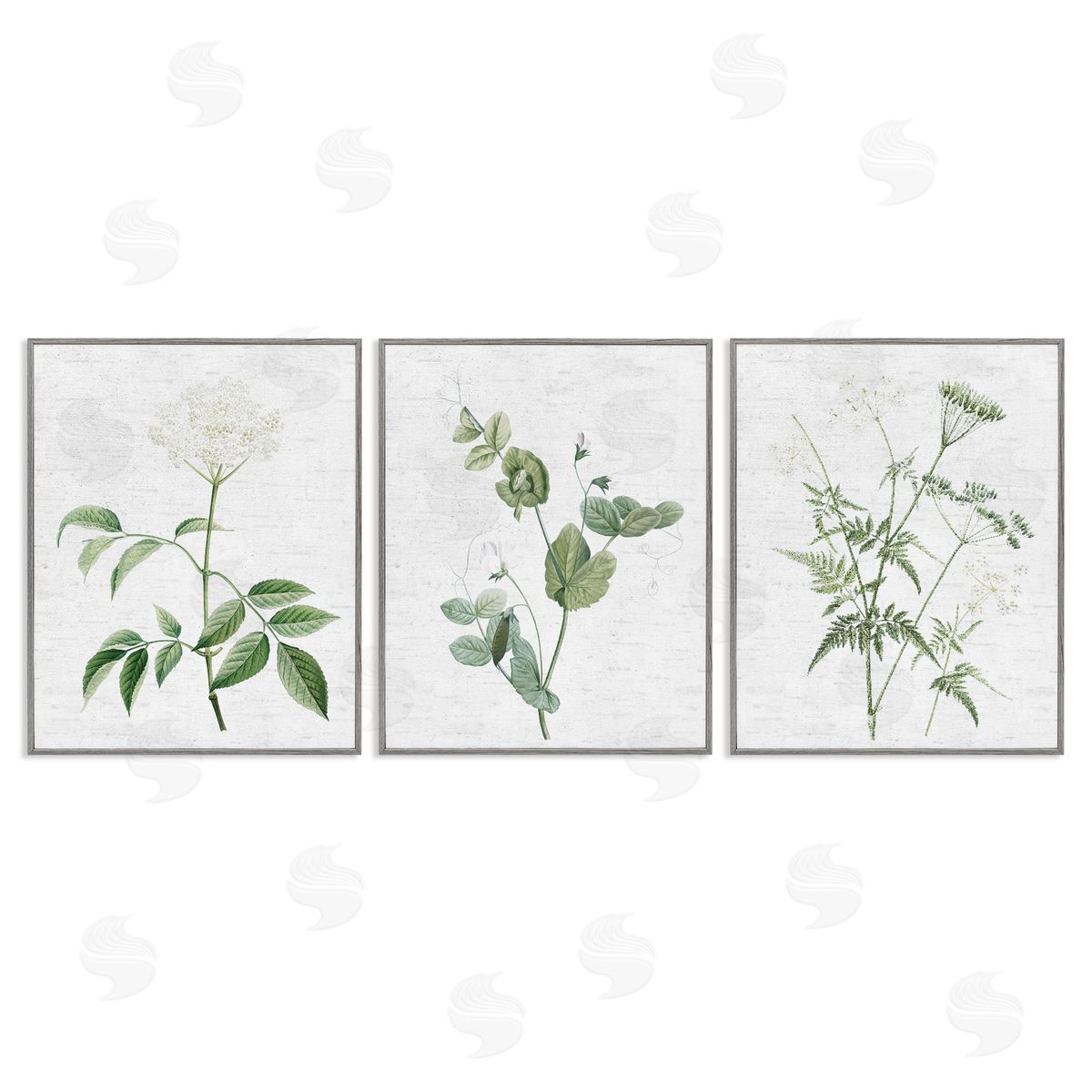 Soft White Botanicals Grey Frame Print Wall Art, Home Decor by Lettered and Lined
