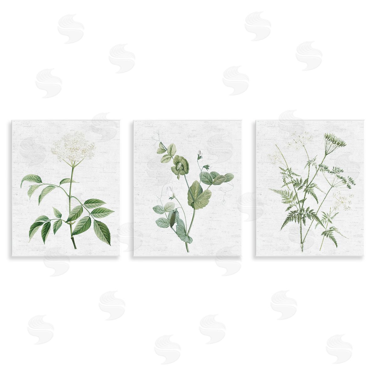 Soft White Botanicals Wood Plaque Wall Art, Home Decor by Lettered and Lined