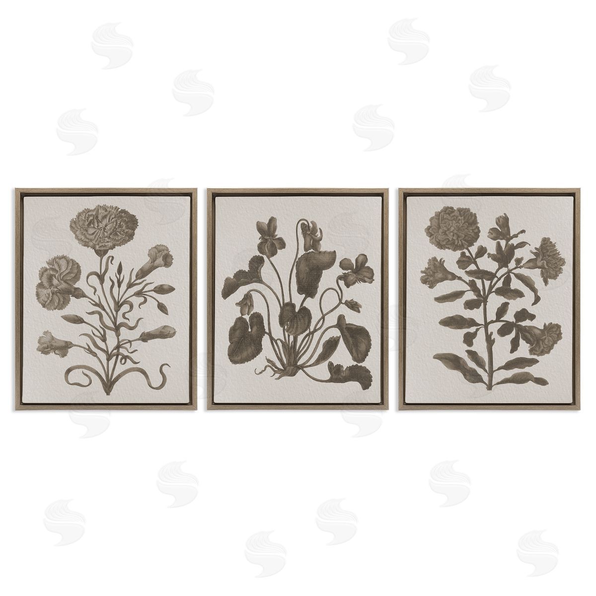 Vintage Country Botanicals Brown Floating Frame Canvas Wall Art, Home Decor by Stupell Studio