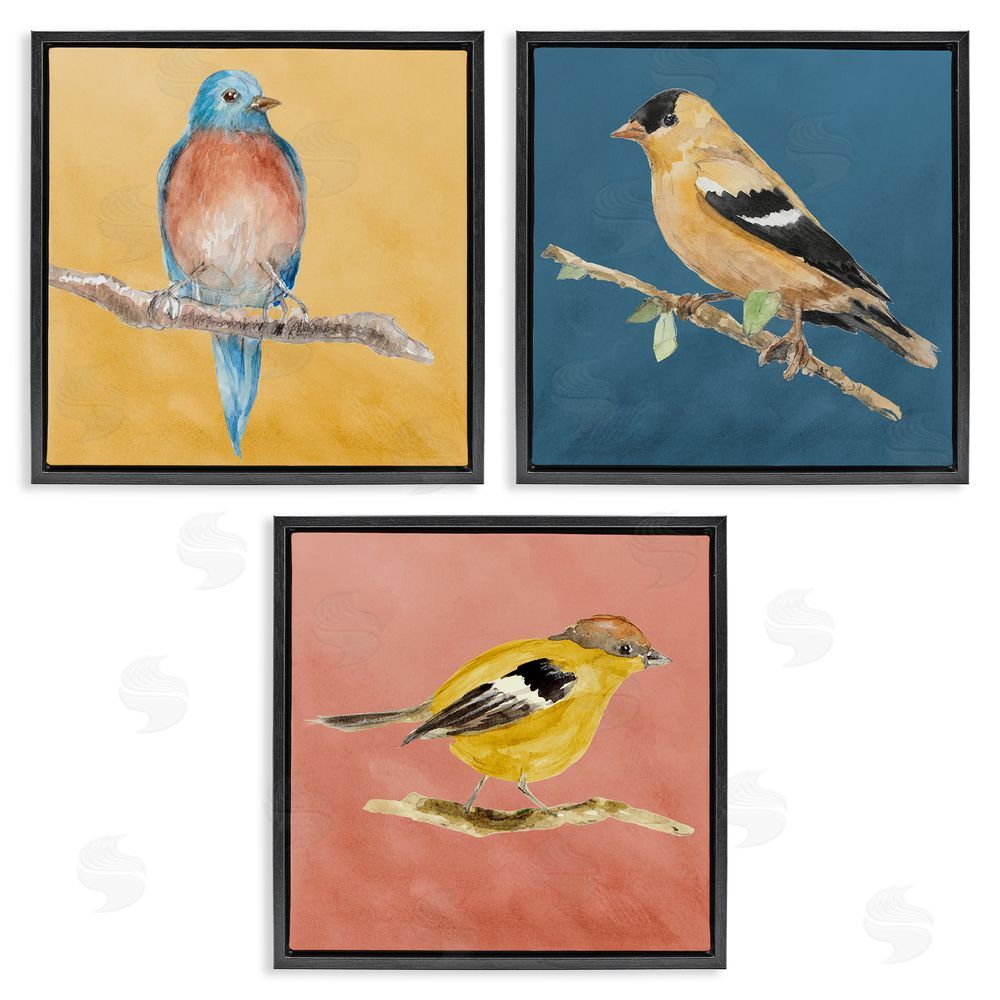 Lanie Loreth Brilliant Birds on Branches Black Floating Frame Canvas Wall Art Print