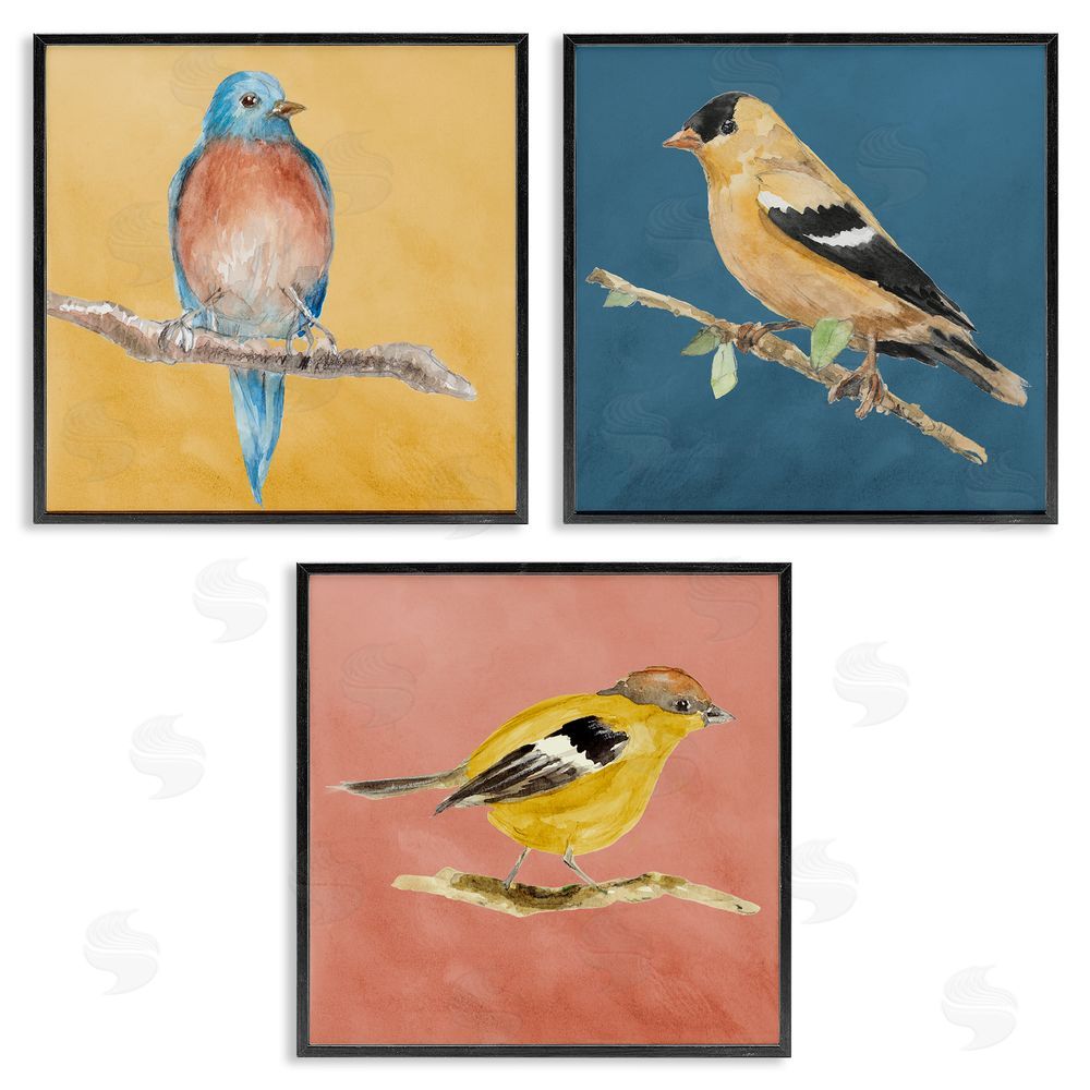 Lanie Loreth Brilliant Birds on Branches Black Framed Giclee Wall Art Print