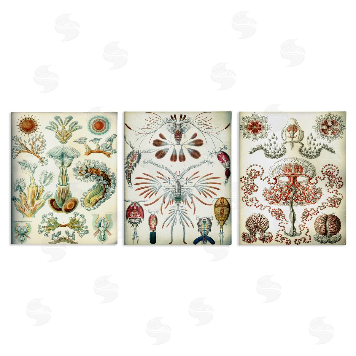 Vintage Microscopic Crustaceans Canvas Wall Art, Home Decor by Graffi*tee Studios