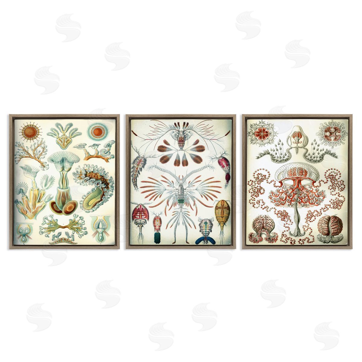 Vintage Microscopic Crustaceans Brown Floating Frame Canvas Wall Art, Home Decor by Graffi*tee Studios