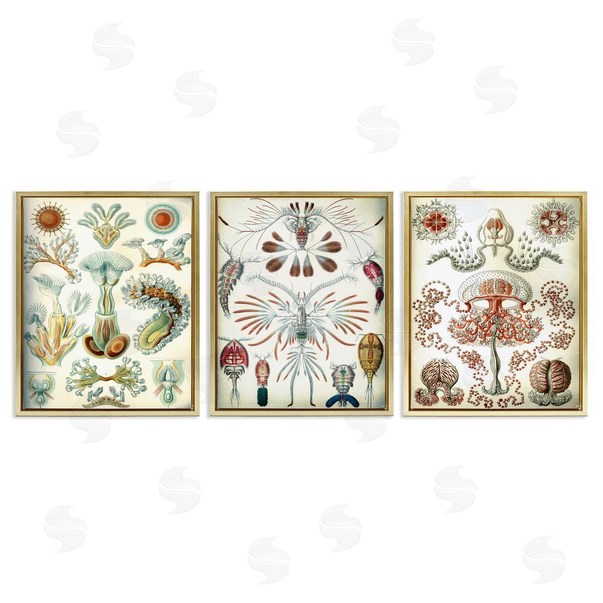 Vintage Microscopic Crustaceans Gold Floating Frame Canvas Wall Art, Home Decor by Graffi*tee Studios