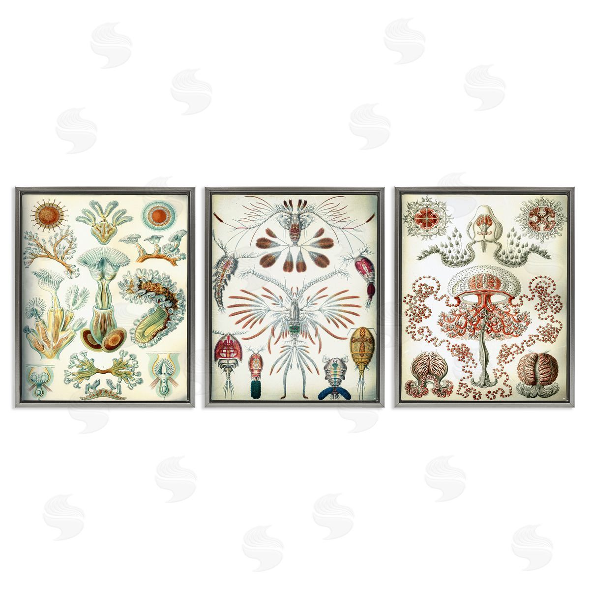 Vintage Microscopic Crustaceans Grey Floating Frame Canvas Wall Art, Home Decor by Graffi*tee Studios