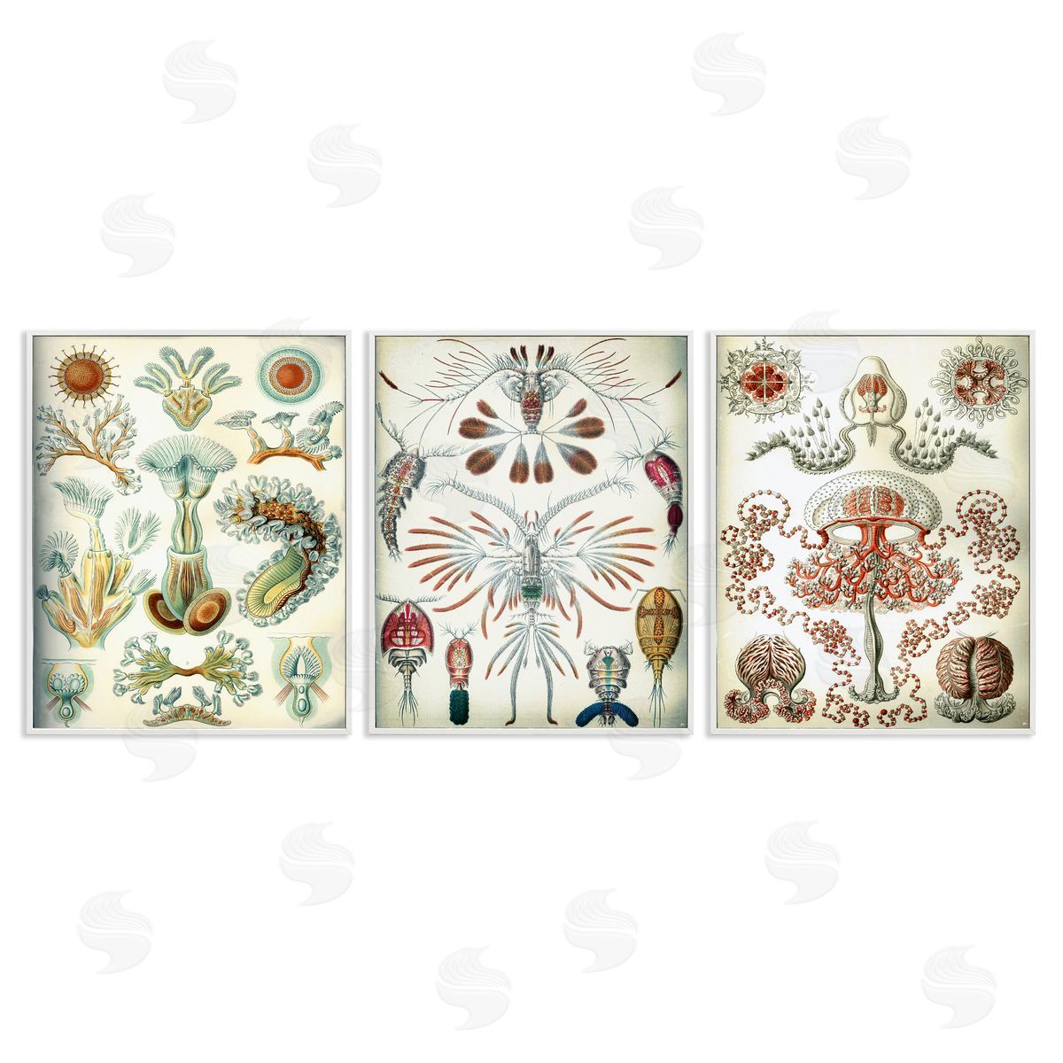 Vintage Microscopic Crustaceans White Frame Print Wall Art, Home Decor by Graffi*tee Studios