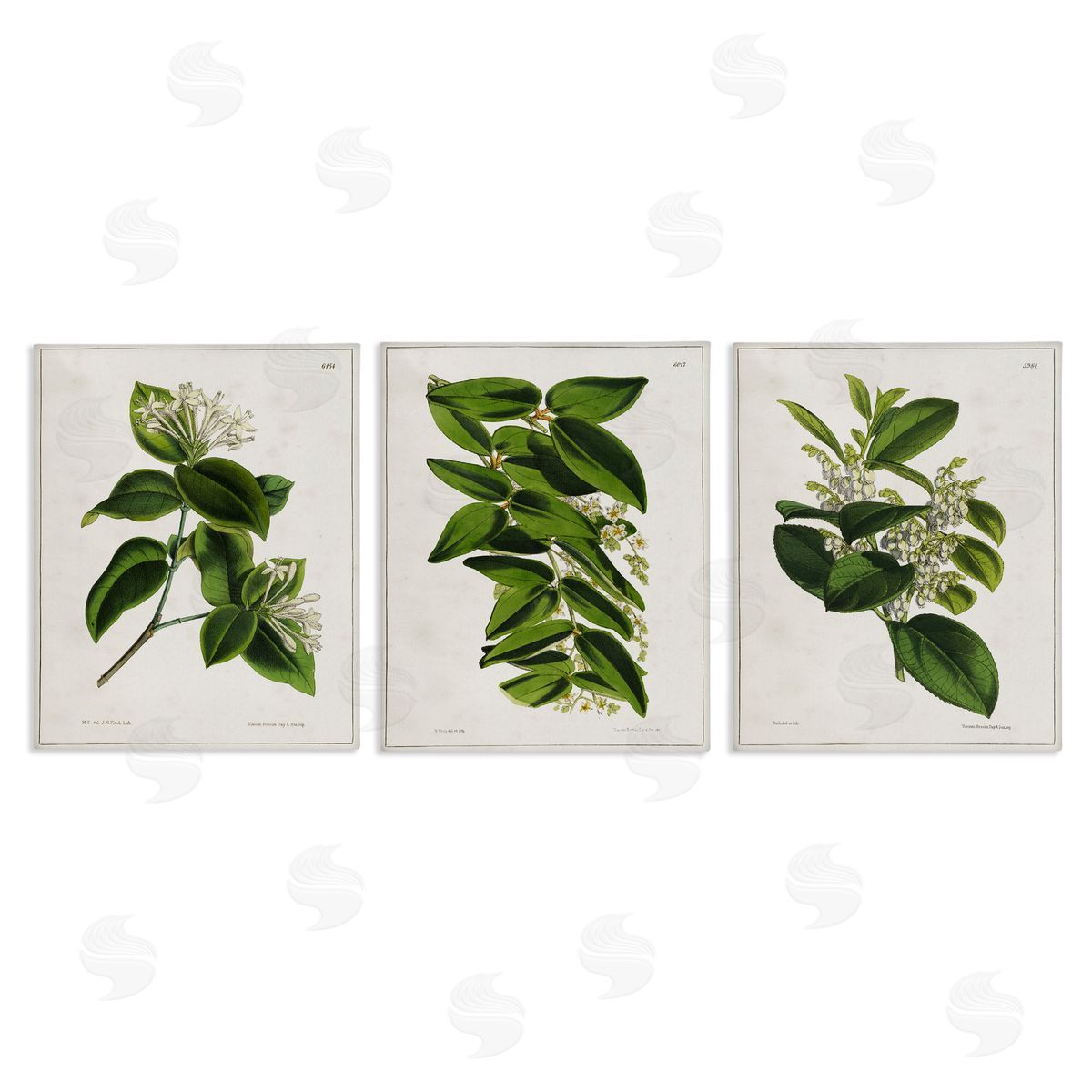Vintage Forest Flower Studies Canvas Wall Art, Home Decor by Tina Higgins Designs, Inc.