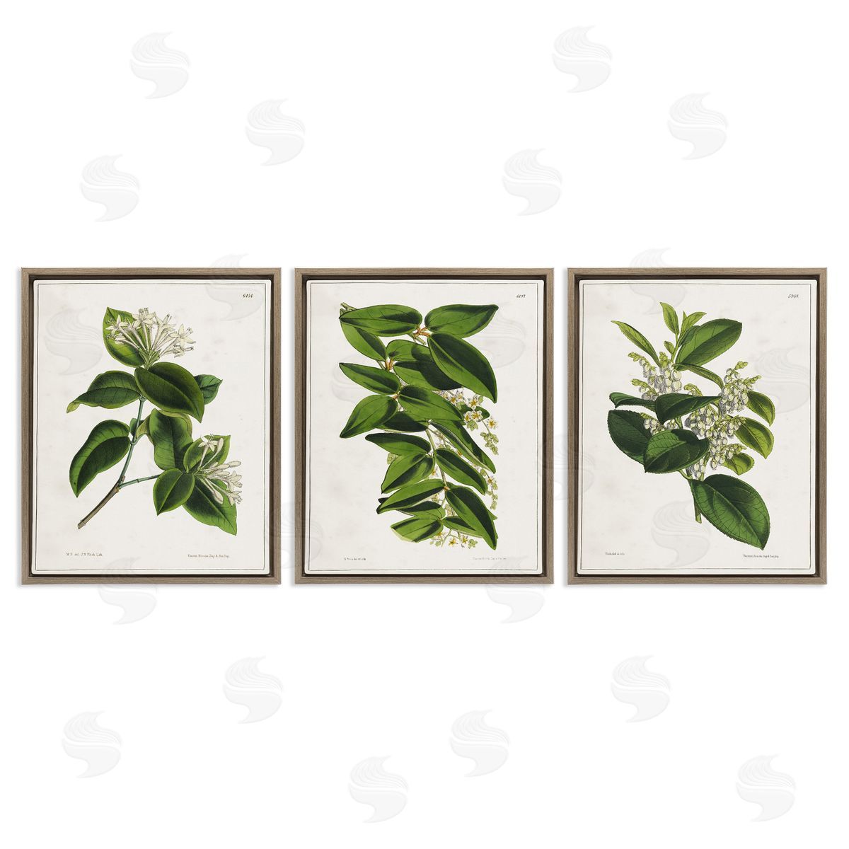 Vintage Forest Flower Studies Brown Floating Frame Canvas Wall Art, Home Decor by Tina Higgins Designs, Inc.