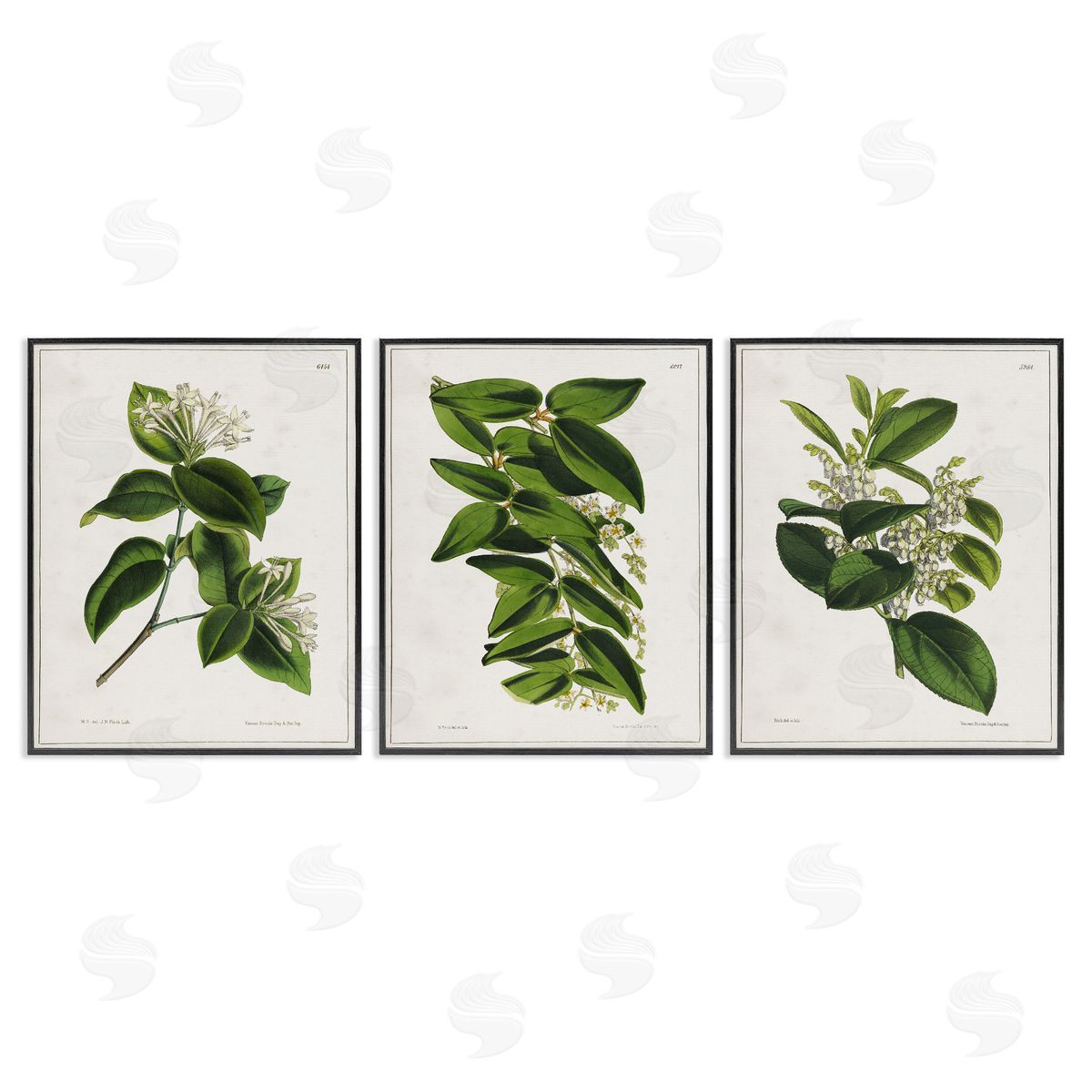 Vintage Forest Flower Studies Black Frame Print Wall Art, Home Decor by Tina Higgins Designs, Inc.