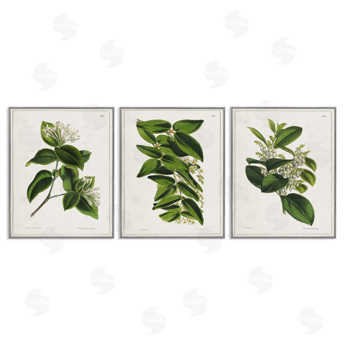 Vintage Forest Flower Studies Grey Frame Print Wall Art, Home Decor by Tina Higgins Designs, Inc.
