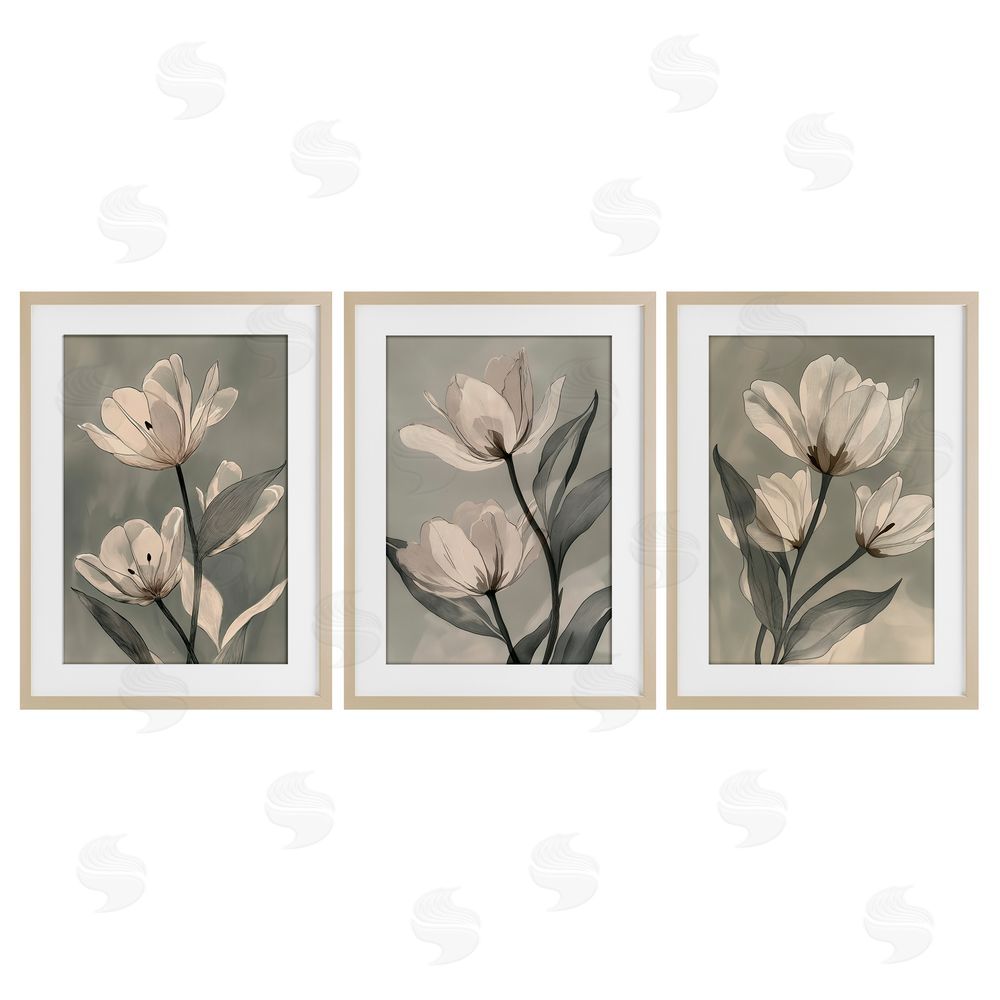 Annabelle Hall Flower Trios Portraits Birch Framed Print Under Glass Set