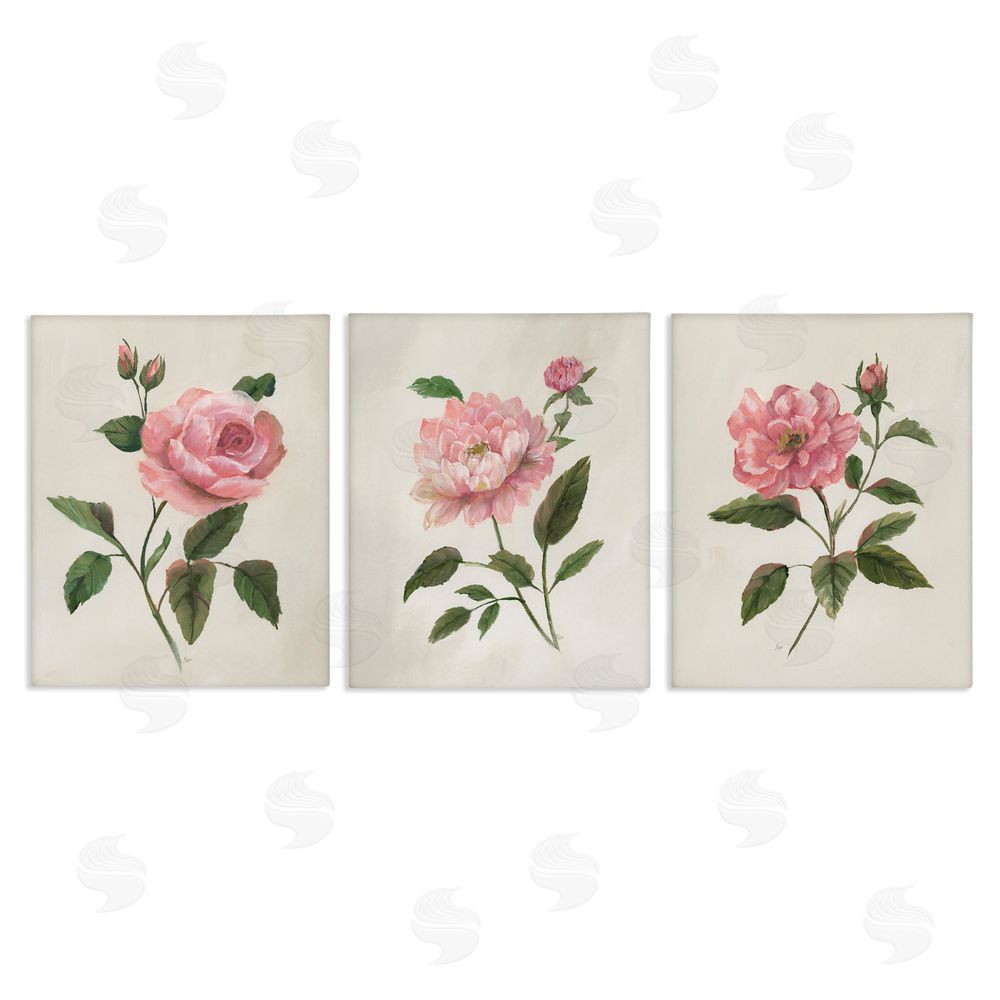 Nan Pink Rosie Rose Florals Canvas Wall Art Set