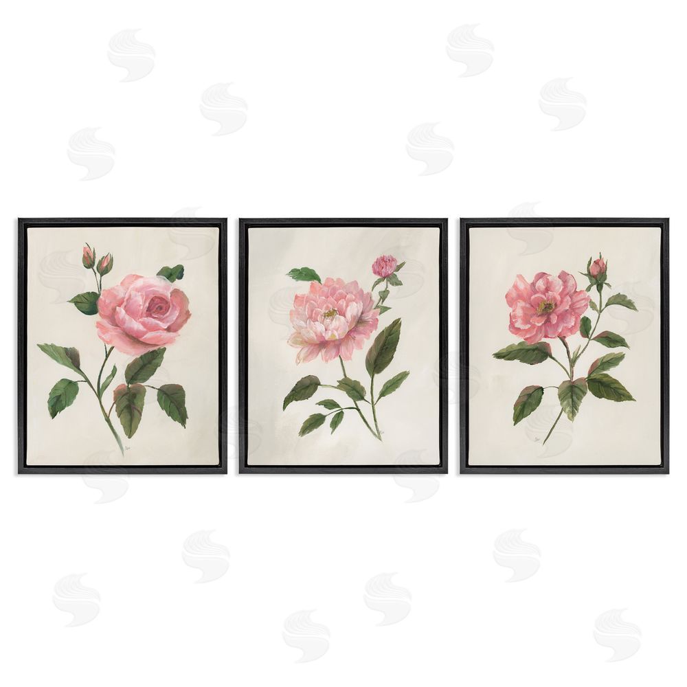 Nan Pink Rosie Rose Florals Black Floating Frame Canvas Wall Art Set