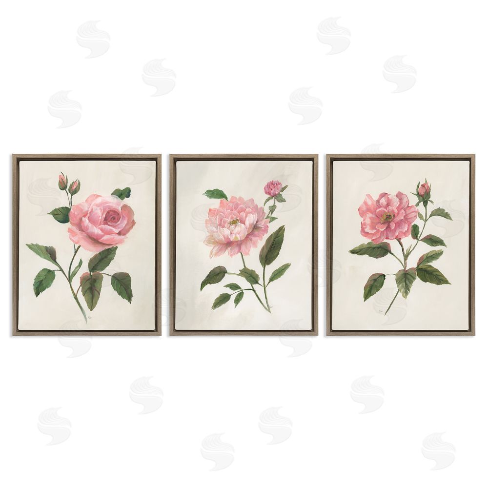 Nan Pink Rosie Rose Florals Brown Floating Frame Canvas Art Set