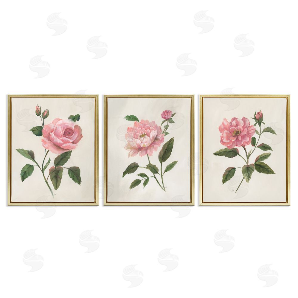 Nan Pink Rosie Rose Florals Gold Floating Frame Canvas Art Set