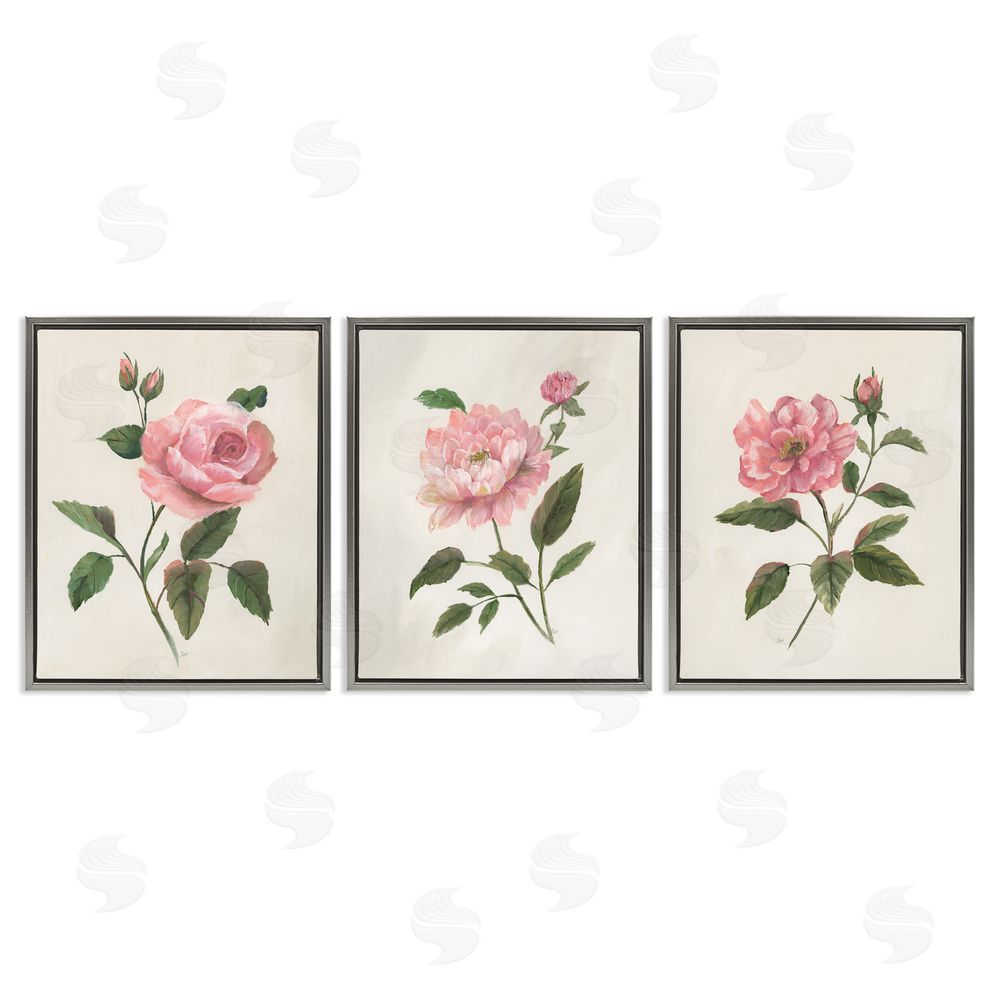 Nan Pink Rosie Rose Florals Gray Floating Frame Canvas Art Set