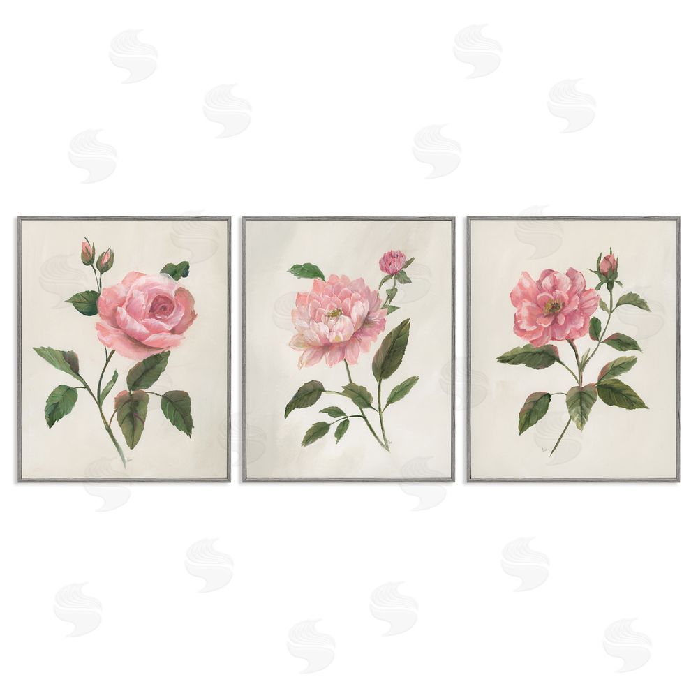 Nan Pink Rosie Rose Florals Gray Framed Giclee Art Set