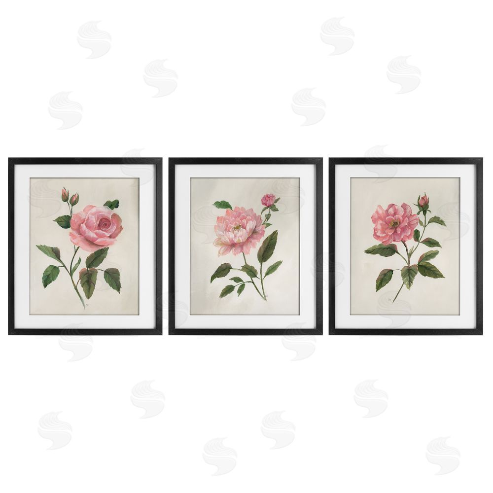 Nan Pink Rosie Rose Florals Black Framed Print Under Glass Set