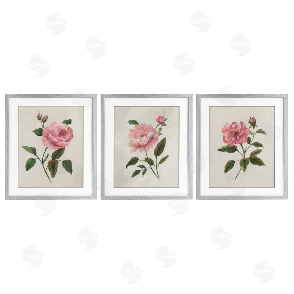 Nan Pink Rosie Rose Florals Gray Framed Print Under Glass Set