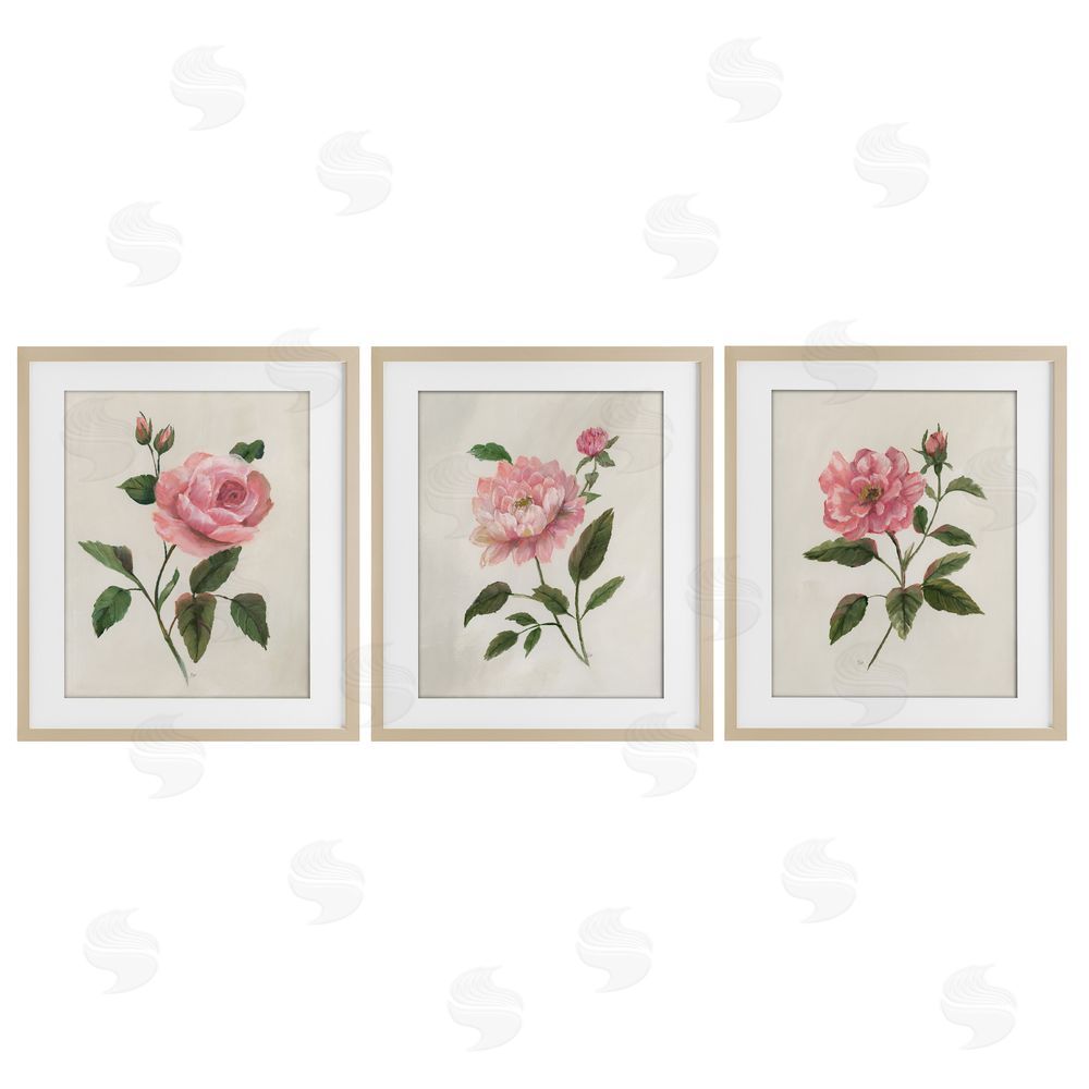 Nan Pink Rosie Rose Florals Birch Framed Print Under Glass Set