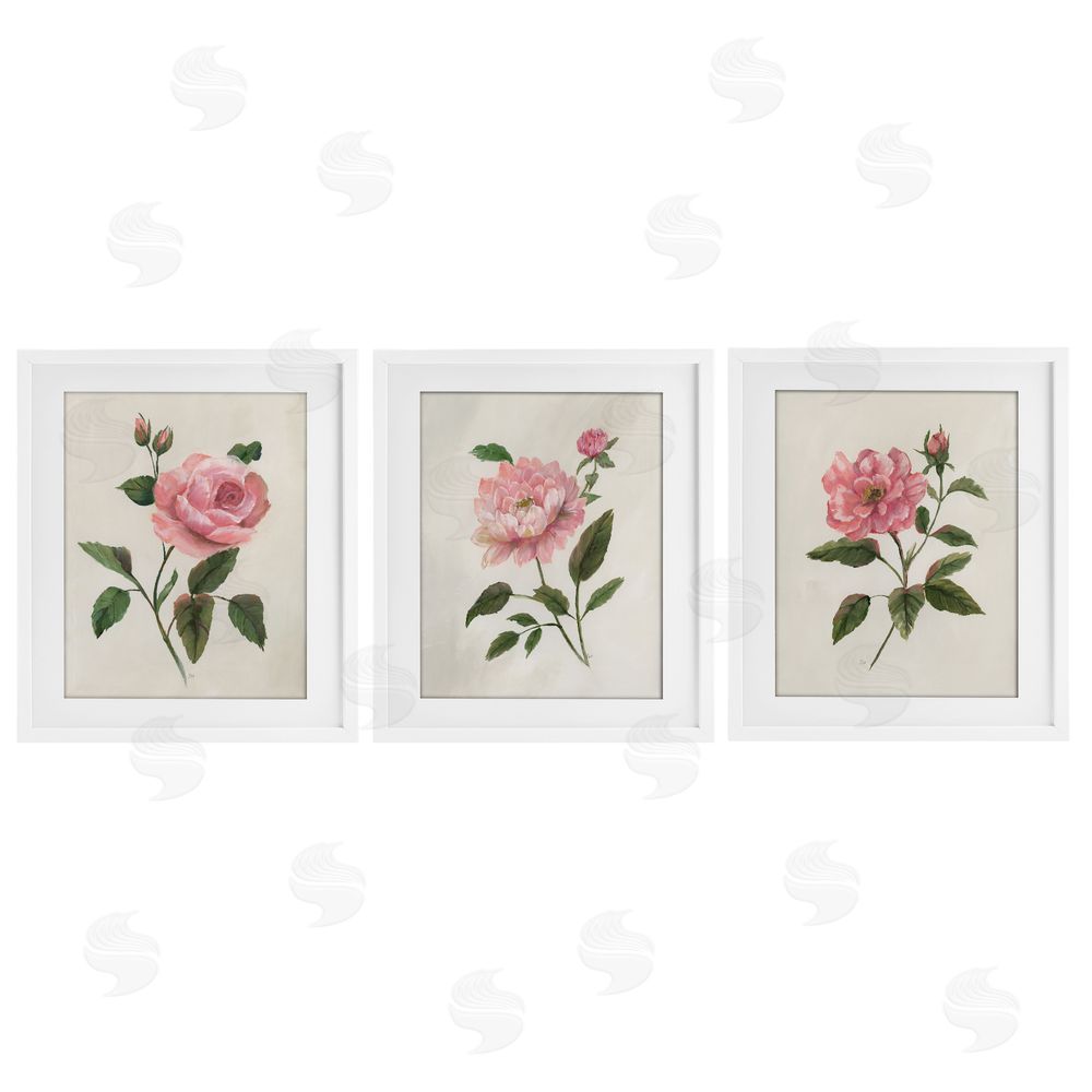Nan Pink Rosie Rose Florals White Framed Print Under Glass Set