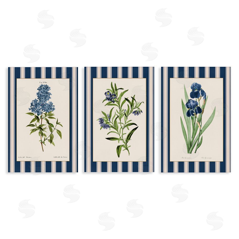 Corinne Haig Vintage Plant Studies over Stripes Canvas Wall Art Set