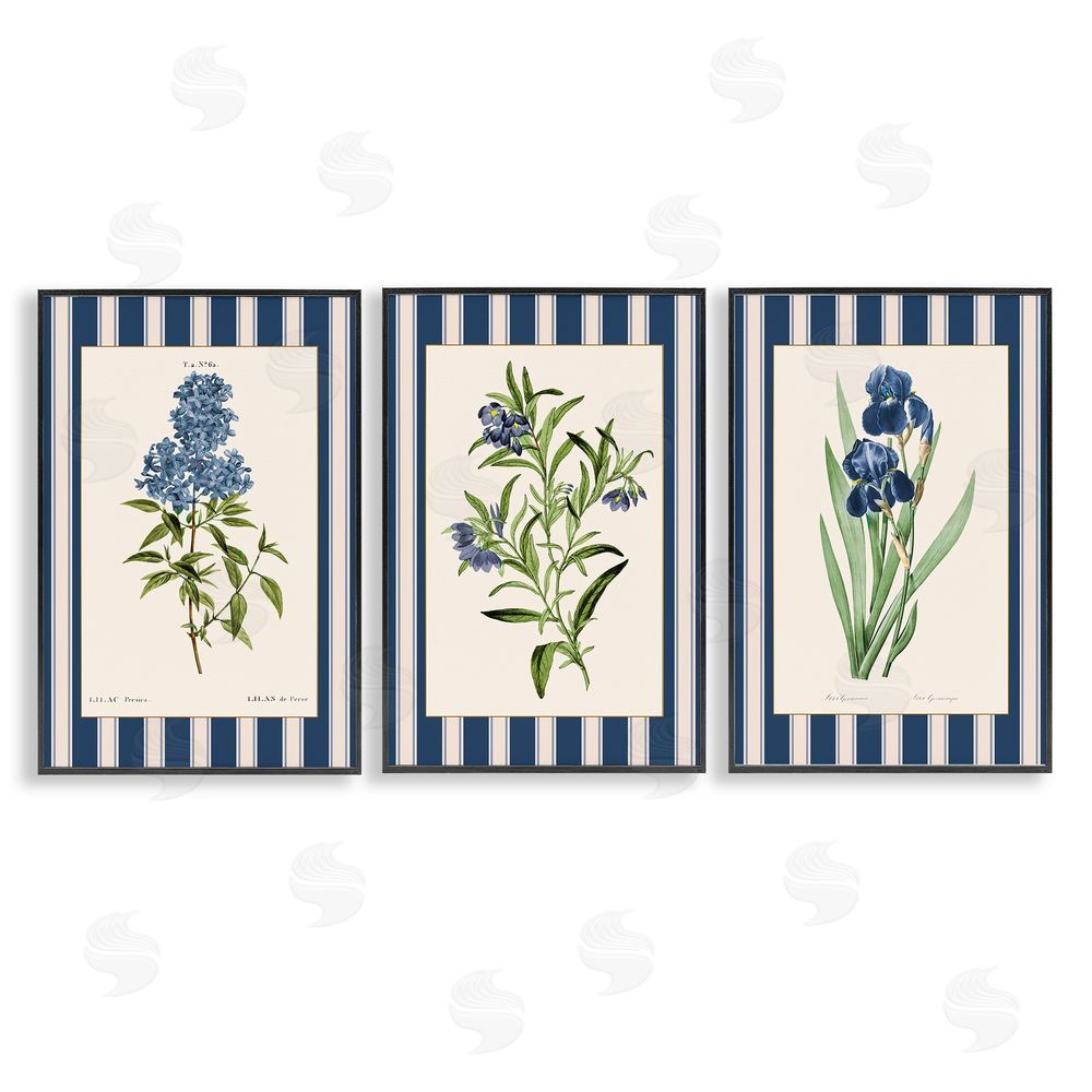 Corinne Haig Vintage Plant Studies over Stripes Black Framed Giclee Art Set
