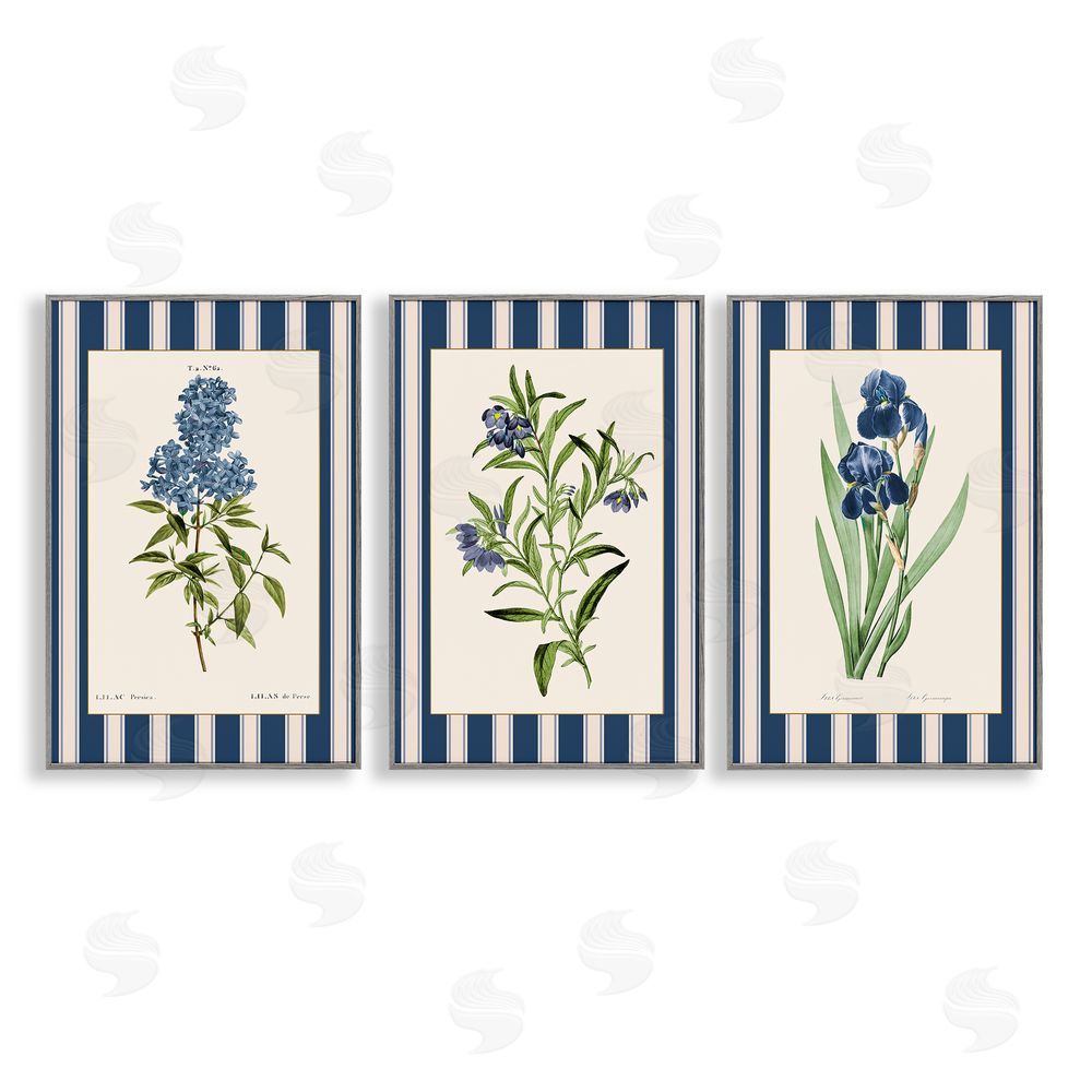 Corinne Haig Vintage Plant Studies over Stripes Gray Framed Giclee Art Set