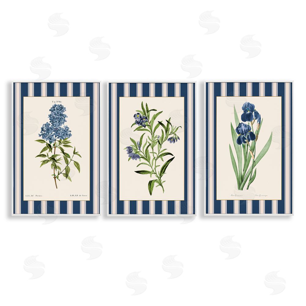 Corinne Haig Vintage Plant Studies over Stripes White Frame Giclee Art Set