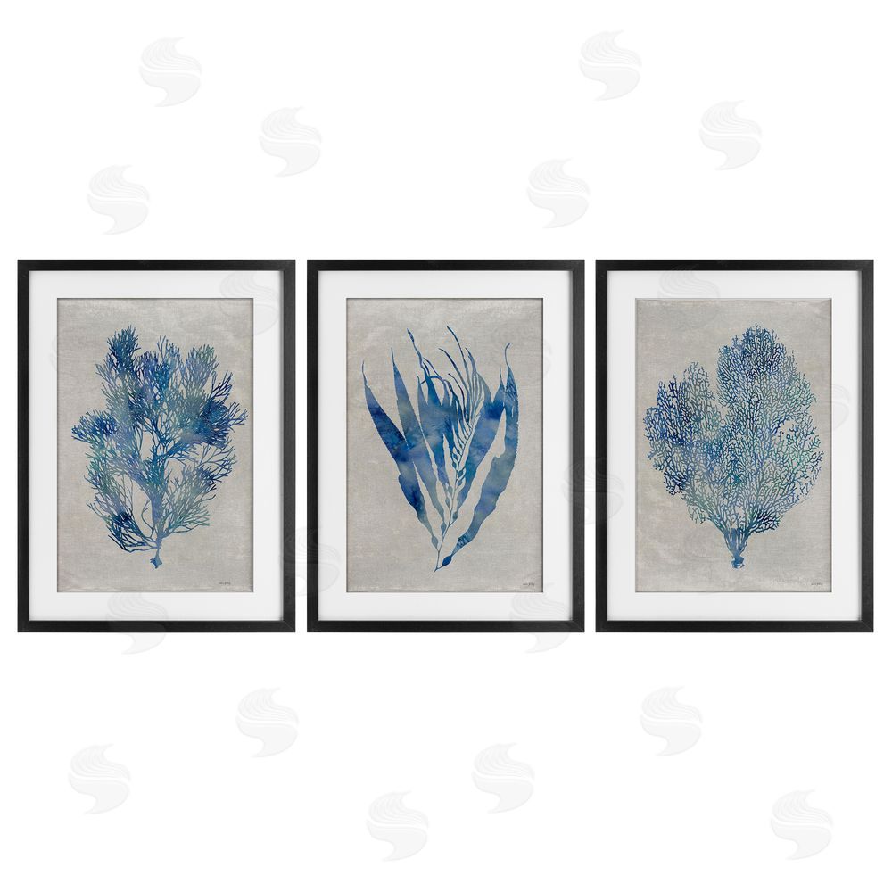 Amber Sterling Silhouette Seaweed Sprigs Black Framed Print Under Glass with White Mat Wall Art