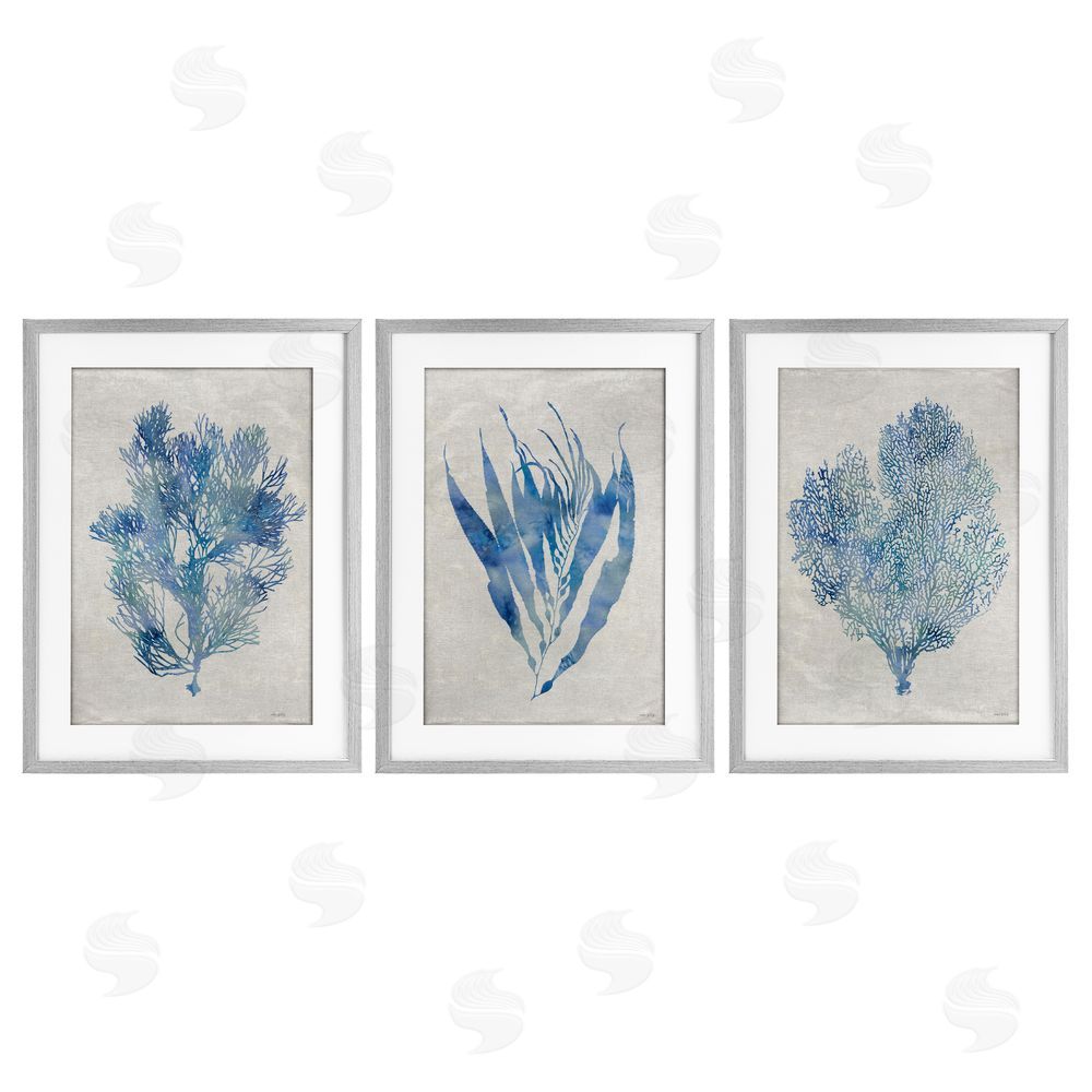 Amber Sterling Silhouette Seaweed Sprigs Gray Framed Print Under Glass with White Mat Wall Art