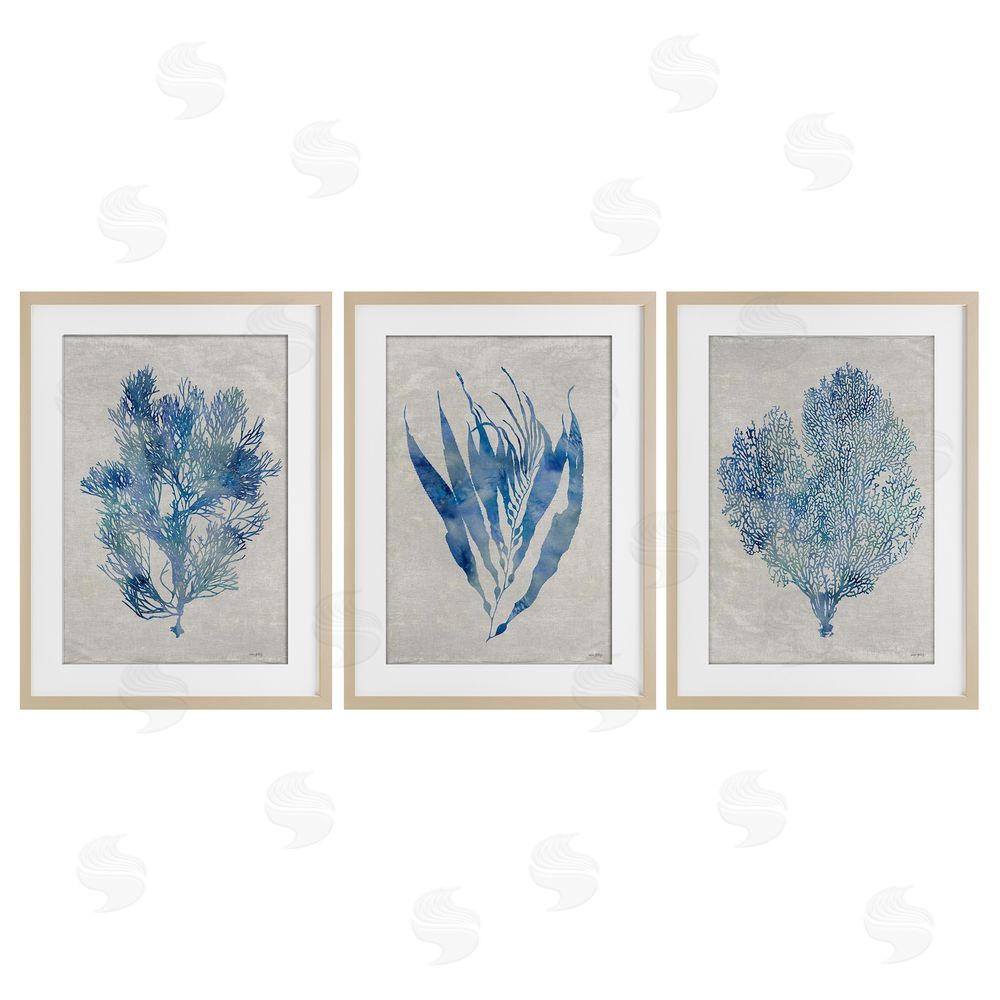Amber Sterling Silhouette Seaweed Sprigs Birch Framed Print Under Glass with White Mat Wall Art