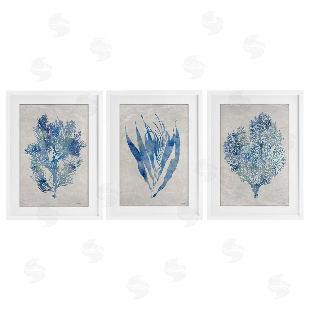 Amber Sterling Silhouette Seaweed Sprigs White Framed Print Under Glass with Mat Wall Art