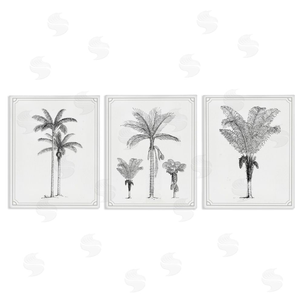 Lettered and Lined Minimal Vintage Palm Tree Sketches Stretched Canvas Wall Art Print