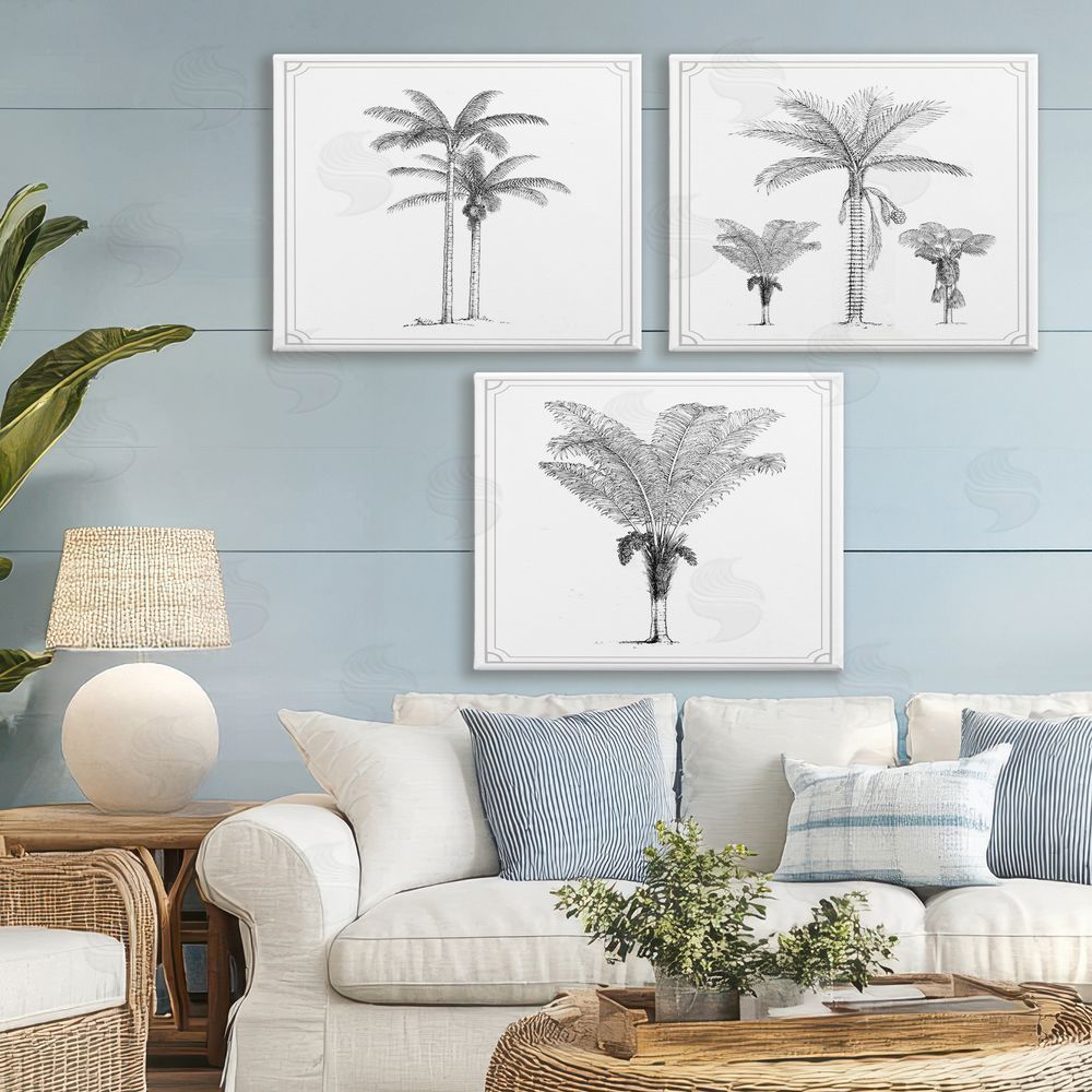 Lettered and Lined Minimal Vintage Palm Tree Sketches Stretched Canvas Wall Art Print in Room