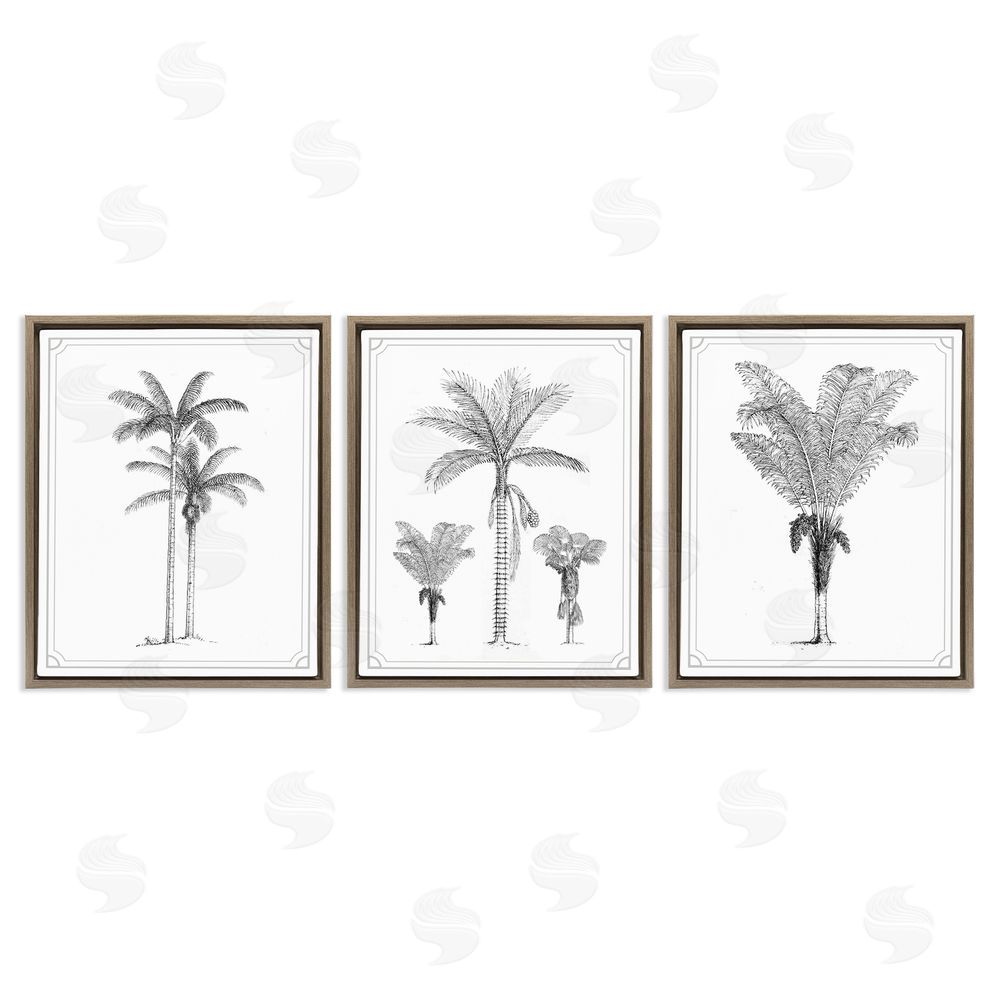 Lettered and Lined Minimal Vintage Palm Tree Sketches Brown Floating Frame Canvas Wall Art Print