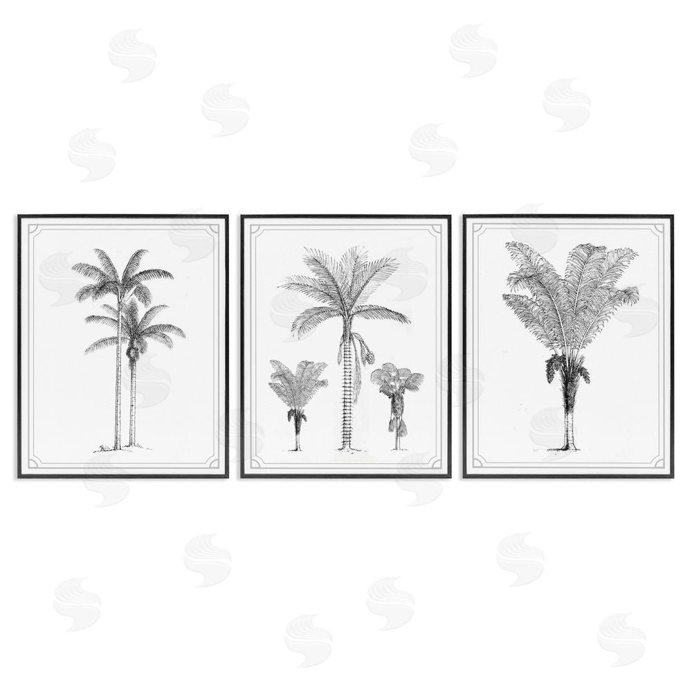Lettered and Lined Minimal Vintage Palm Tree Sketches Black Framed Giclee Print Wall Art