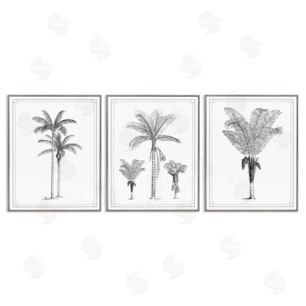 Lettered and Lined Minimal Vintage Palm Tree Sketches Gray Framed Giclee Print Wall Art