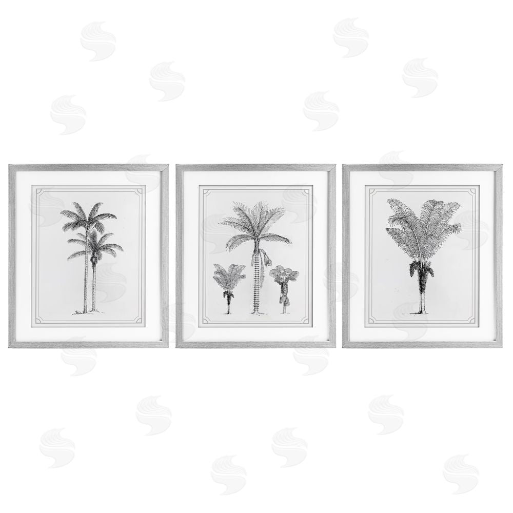 Lettered and Lined Minimal Vintage Palm Tree Sketches Gray Framed Print Under Glass Wall Art
