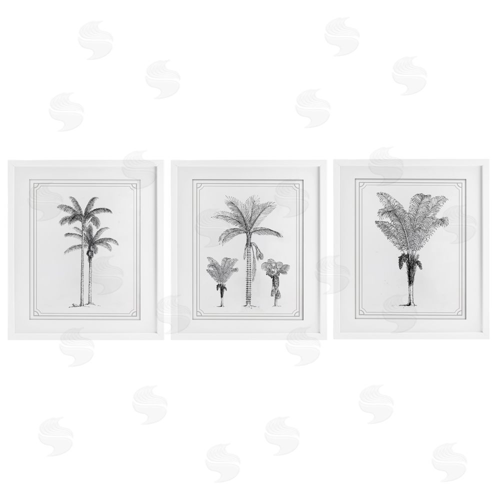 Lettered and Lined Minimal Vintage Palm Tree Sketches White Framed Print Under Glass Wall Art