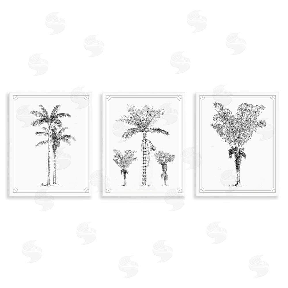 Lettered and Lined Minimal Vintage Palm Tree Sketches Wooden Wall Plaque Art Print