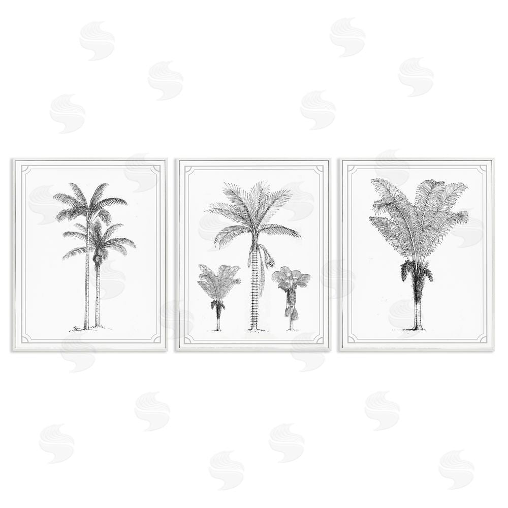 Lettered and Lined Minimal Vintage Palm Tree Sketches White Framed Giclee Print Wall Art
