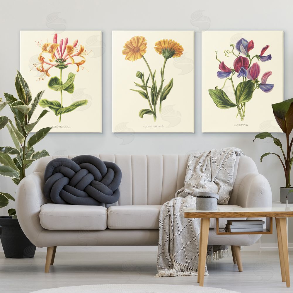 Connie Resch Flowering Plants Vintage Illustration Canvas Wall Art Print in Room