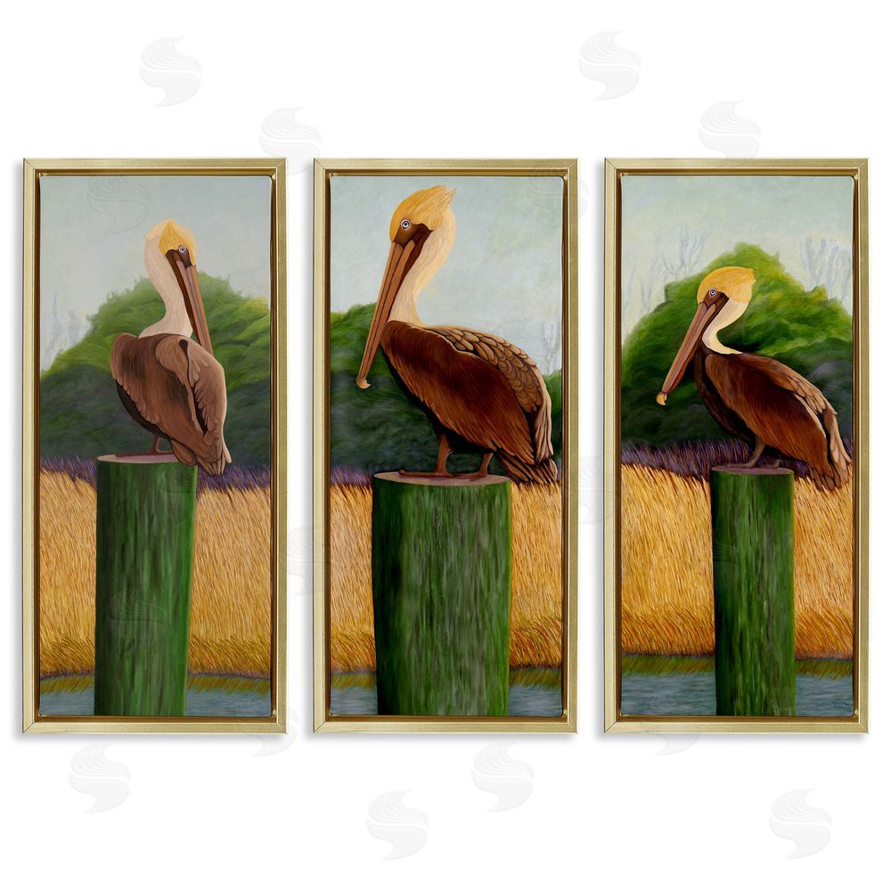 Barbara Fallenbaum Blue Eyed Pelicans in Marsh Gold Floating Frame Canvas Wall Art Print