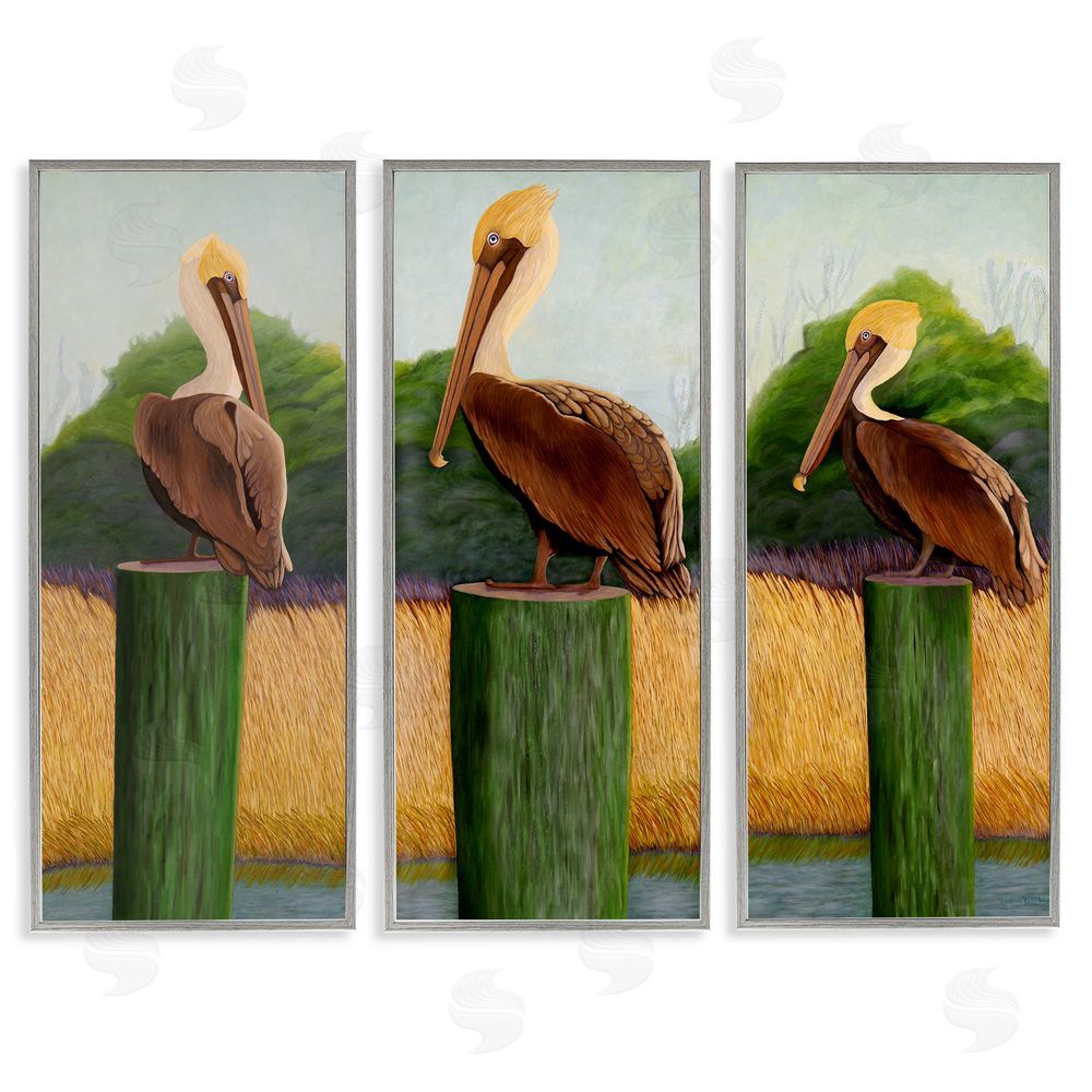 Barbara Fallenbaum Blue Eyed Pelicans in Marsh Gray Framed Giclee Wall Art Print