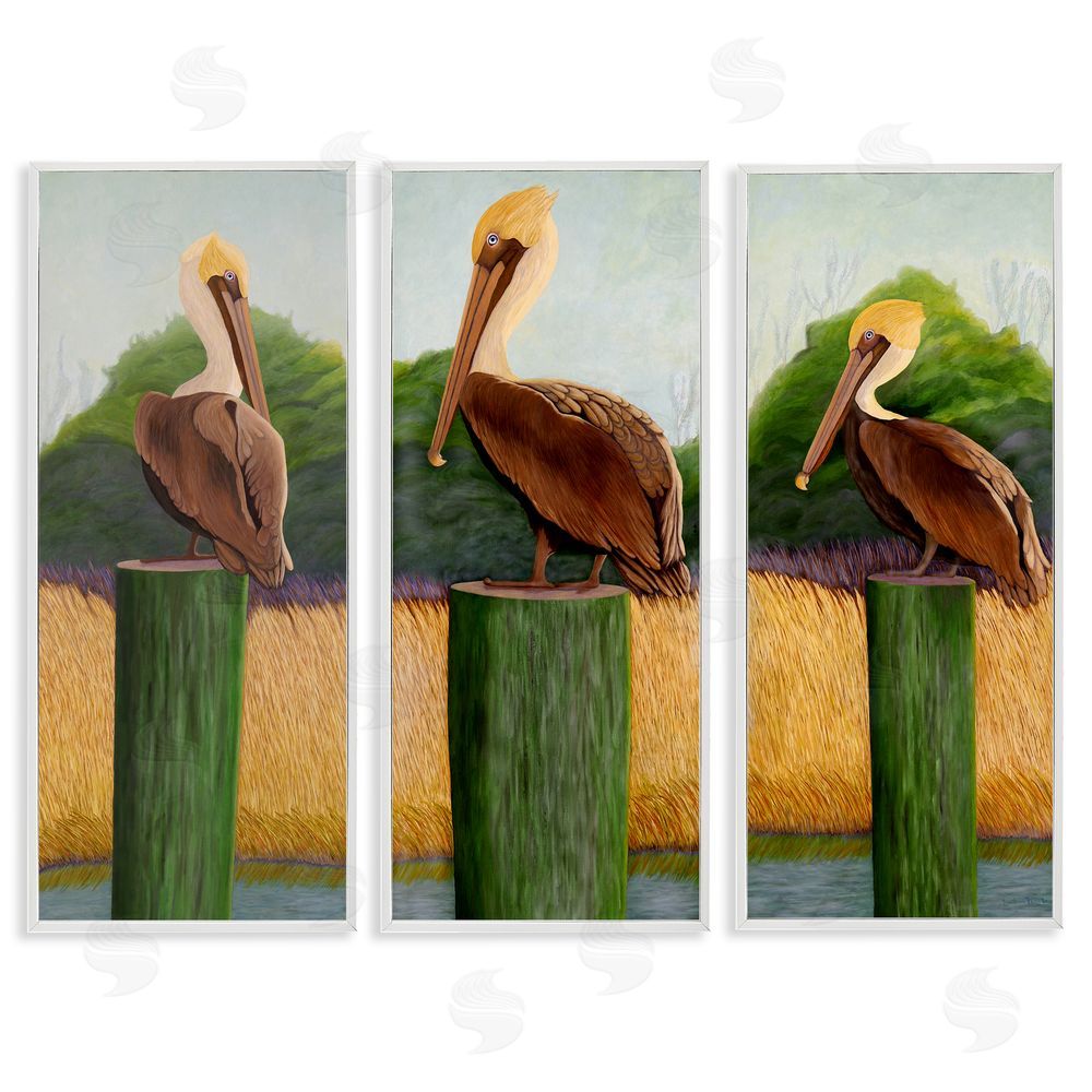 Barbara Fallenbaum Blue Eyed Pelicans in Marsh White Framed Giclee Wall Art Print
