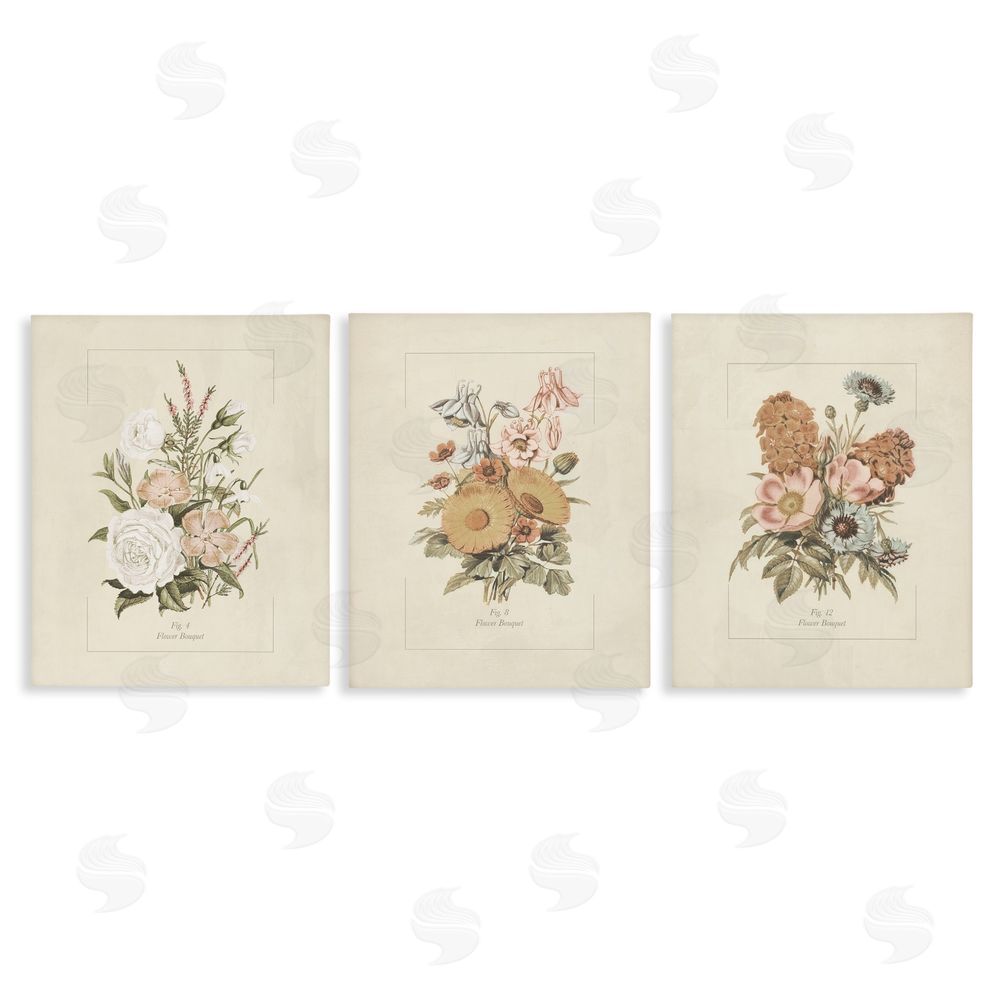 Dan Meneely Neutral Bouquet Studies Stretched Canvas Wall Art Print