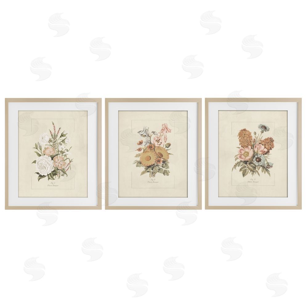 Dan Meneely Neutral Bouquet Studies Brown Framed Print Under Glass Wall Art